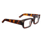 OSLIND 50, Honey Tort-Demo  W/ Spy+ Lens Print, hi-res image number null